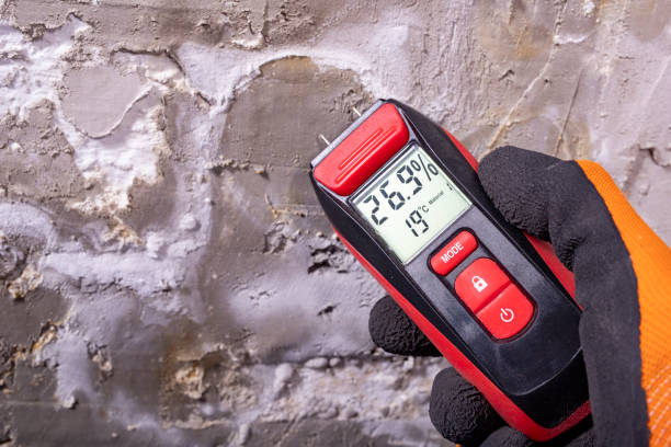 Best Office Mold Removal Services  in East Camden, SC