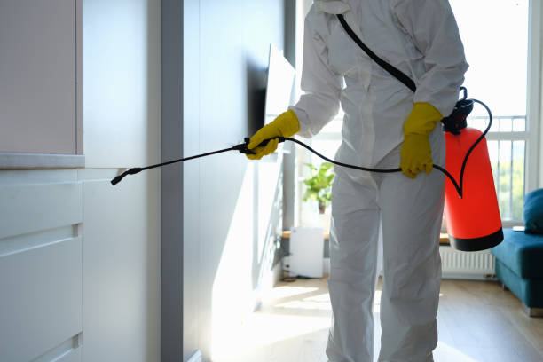 Certified Mold Removal in East Camden, SC
