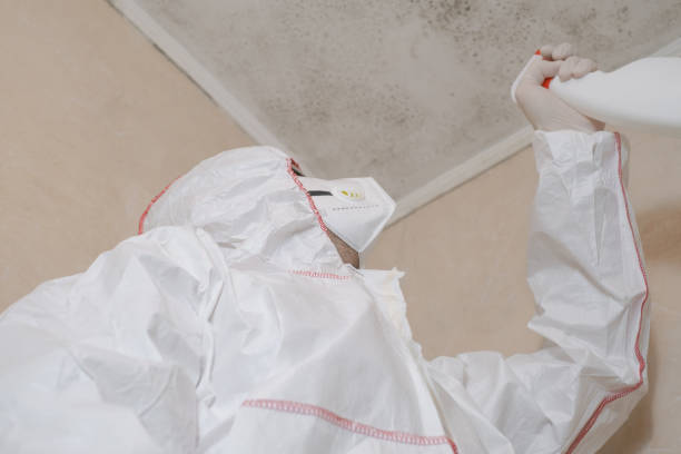 Best Mold Testing  in East Camden, SC